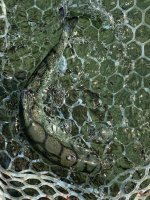 IMG_0878.jpeg