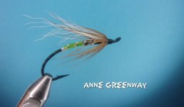 Anne Greenway.jpg