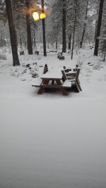 IMG_20240106_081042344.jpg