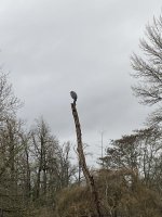 IMG_2721.jpeg