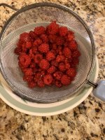 Raspberries.jpg
