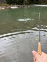 1704645140744.jpeg