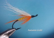 Autumn Gold.jpg