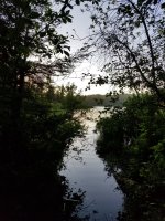 20190615_202253.jpg