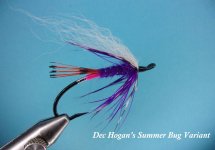 dec hogans summer bug.jpg
