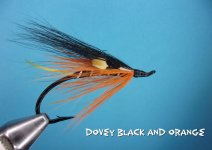 Dovey Black and Orange.jpg