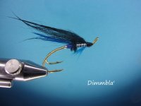Dimmbla'.jpg