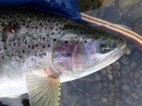 IMG_6120.jpeg