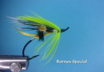 Barnes Special2.jpg