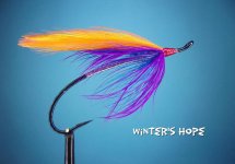 Winter's Hope.jpg