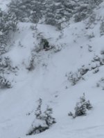 IMG_3100.jpeg