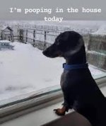 images (28).jpeg