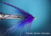 Purple Spider Intruder2.jpg Purple Spider Intruder2.jpg
