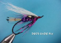 Dec's Guide Fly.jpg Dec's Guide Fly.jpg