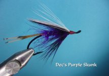 Dec's Purple Skunk.jpg Dec's Purple Skunk.jpg