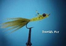 Damsel Fly.jpg Damsel Fly.jpg