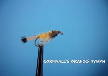 Cornwall's Orange Nymph.jpg Cornwall's Orange Nymph.jpg