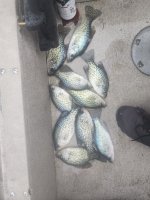 1st 2024 crappie.jpg