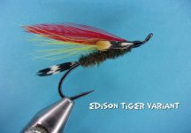 Edison Tiger Variant.jpg