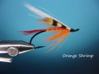 Orange Shrimp.jpg