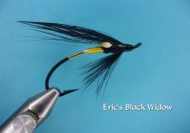 Eric's Black Widow.jpg