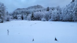 20240110_083118.jpg