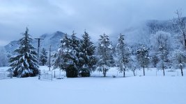 20240110_083011.jpg