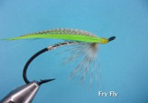 Fry Fly.jpg