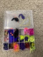 IMG_3729.jpeg IMG_3729.jpeg