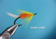 Candy Corn.jpg
