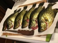 IMG_3324.jpeg
