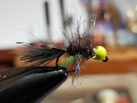 20240111_101916.jpg