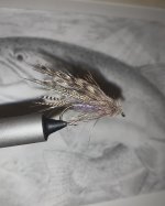 IMG_3300.jpeg