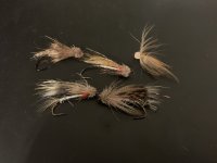 IMG_3307.jpeg