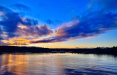 IMG_3906.jpeg