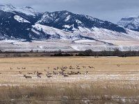 IMG_3594.jpeg
