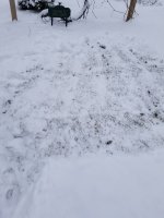20240112_110353.jpg