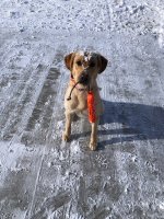 IMG_3599.jpeg