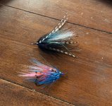IMG_3310.jpeg