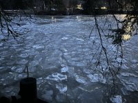1B6D3FF6-6B98-40B3-9FDE-18145A8CA324.jpeg