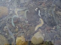 IMG_6145.jpeg