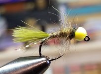 20240113_094829.jpg