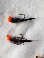 20240113_101712.jpg