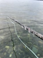 IMG_2527.jpeg