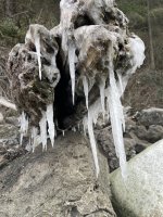 IMG_2534.jpeg