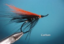 Carbon.jpg