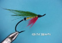 Celtic Beauty.jpg