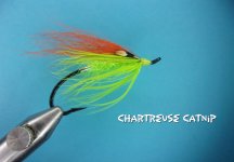 Chartreuse Catnip.jpg