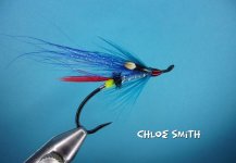 Chloe Smith.jpg