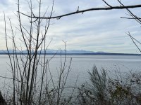 IMG_6150.jpeg